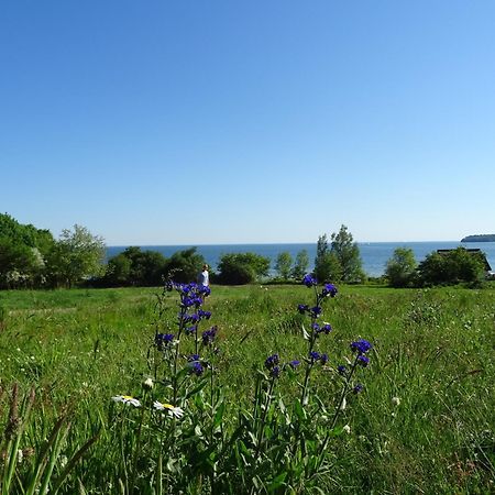 Appartement Werft & Meer Lauterbach  Eksteriør billede