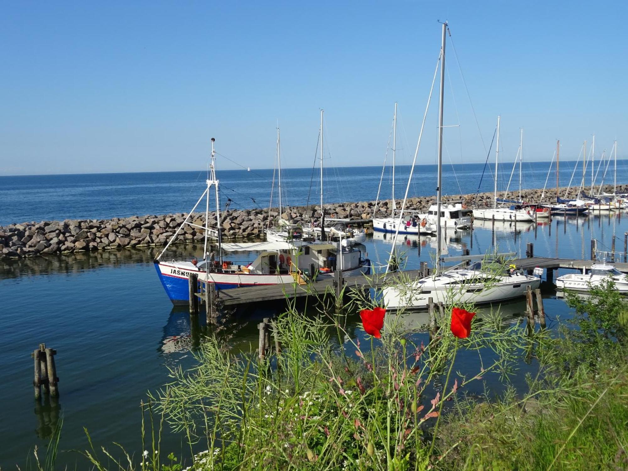 Appartement Werft & Meer Lauterbach  Eksteriør billede